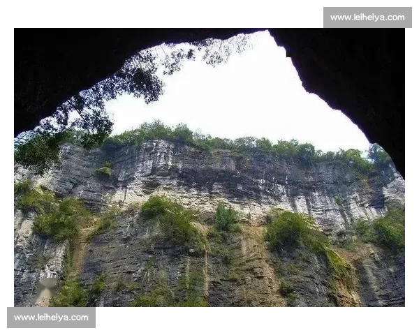 央视盯上开阳猴耳天坑！出片率 90%，这 “飞翔” 太上头